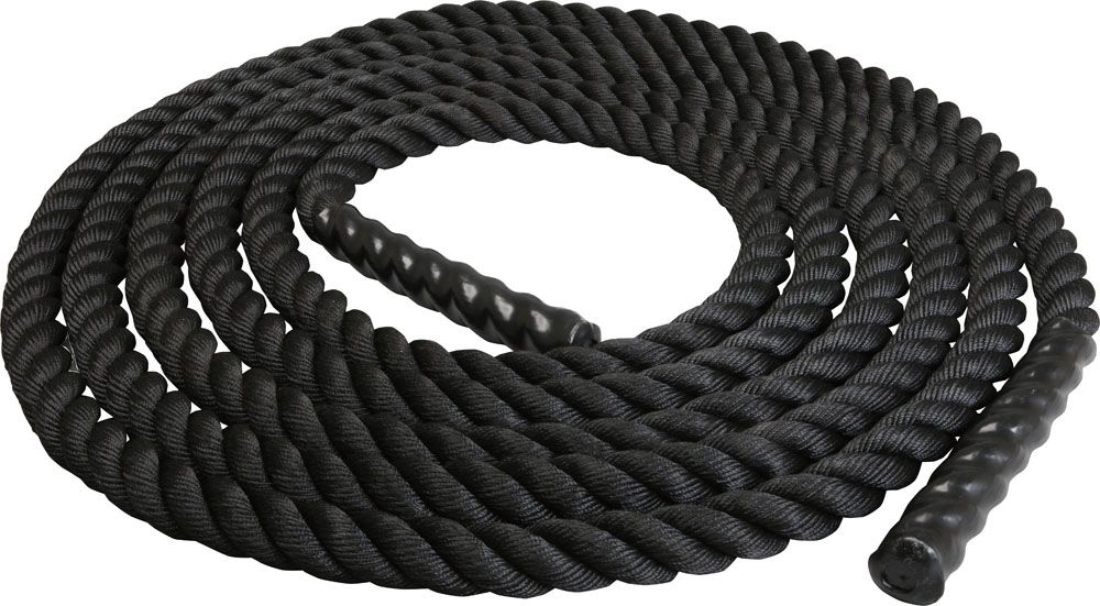 手書きイラスト（直筆）色紙 / 濱元隆輔 / 検索：ウサギルリカラクサ