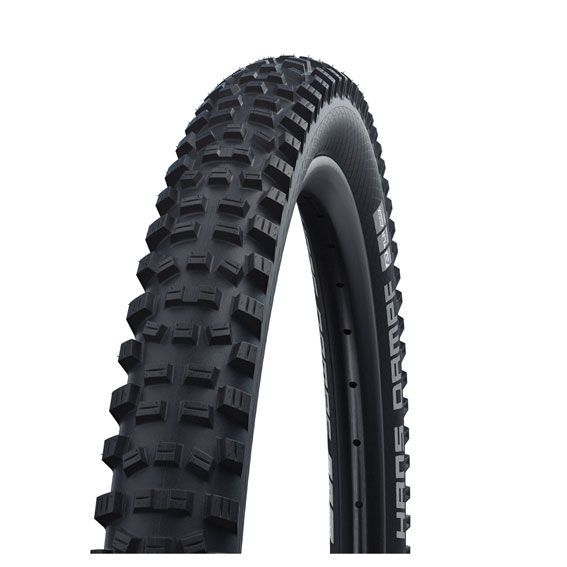 2本セット SCHWALBE ハンスダンプ Performance ADDIX 29x2.35 60-622 ブラック 自転車 