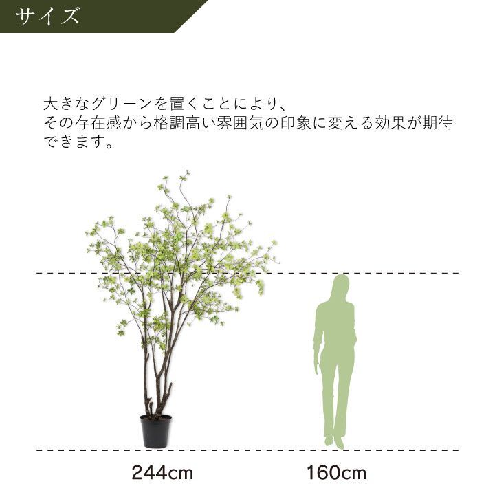大型 フェイクグリーン