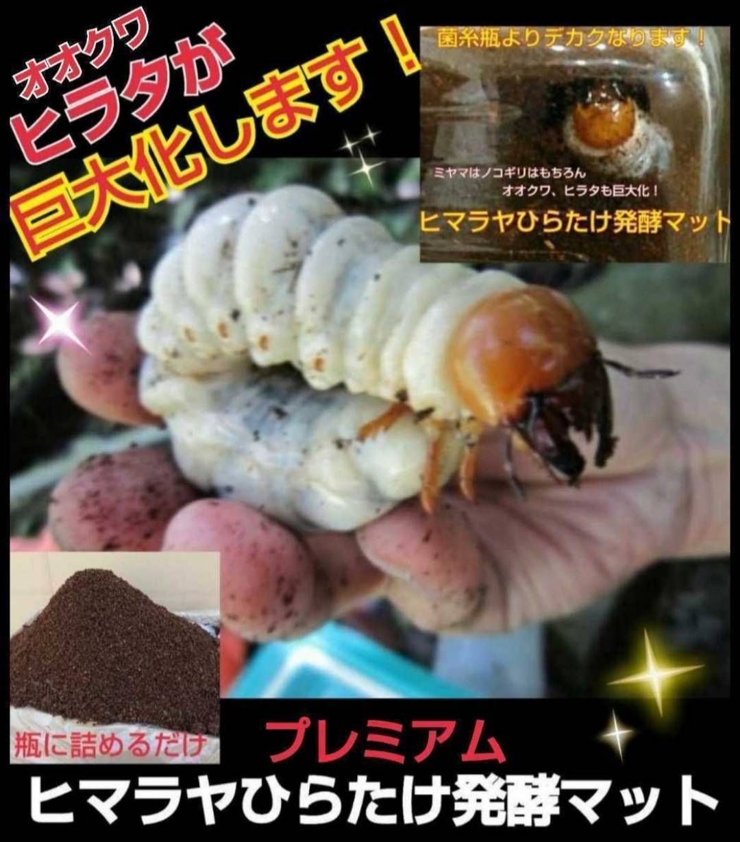 ミヤマクワガタ、ノコギリ幼虫に抜群！800mlボトル入プレミアム発酵マット20本 昆虫用品 ミヤマ幼虫に抜群！ボトル入りプレミアム3次発酵マット【8本