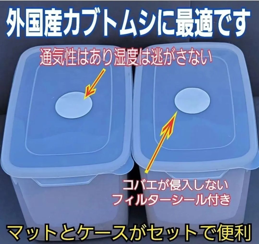 カブトムシの幼虫を入れるだけ 便利です