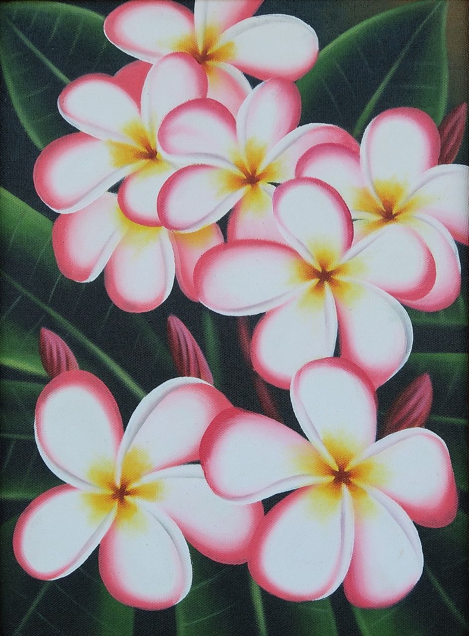 プルメリア  絵画　80x60 ハワイアン  リゾート　バリアート 153062485_o2.jpg?