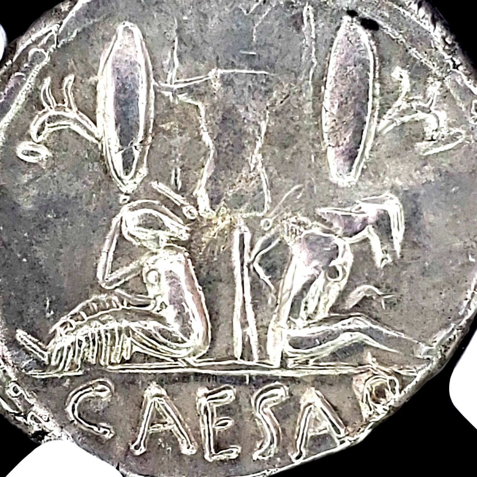 古代ローマ カエサルの銀貨 ヴィーナス 紀元前45年 デナリウス 銀貨