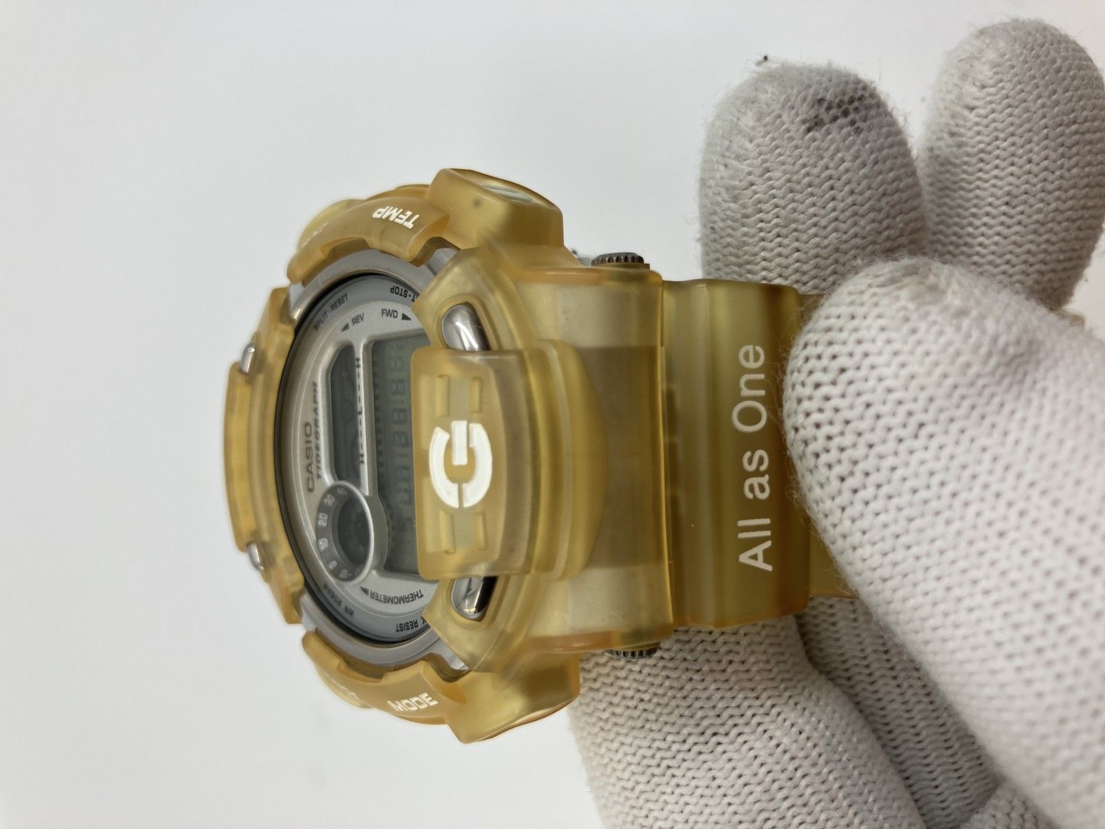 カシオ G-SHOCK DW-8600K イルカ・クジラ会議モデル 腕時計 チタン裏蓋 ICERC 限定 送料無料 カシオ G-SHOCK DW-8600K イルカ・クジラ会議モデル 腕時計 チタン裏蓋