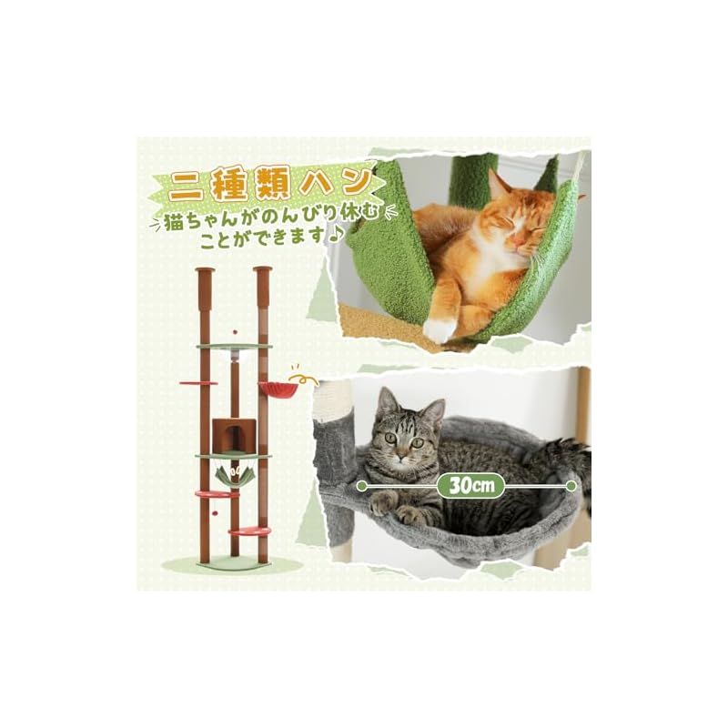 スリム ツッパリ