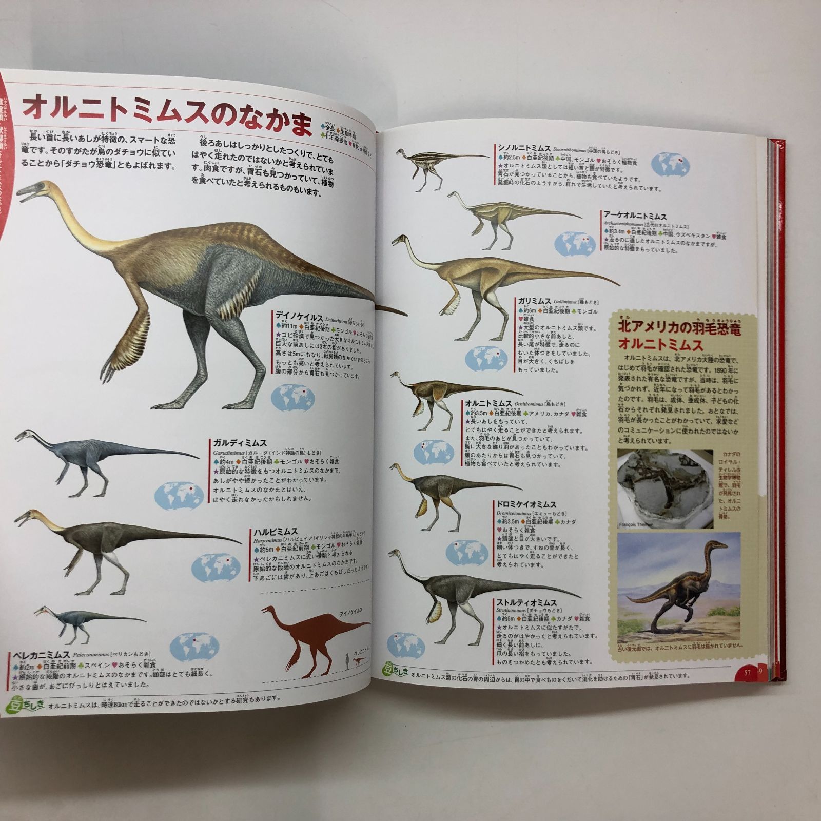図鑑2冊セット 学研の図鑑LIVE 昆虫/恐竜 >>M-6-m696_O - メルカリ