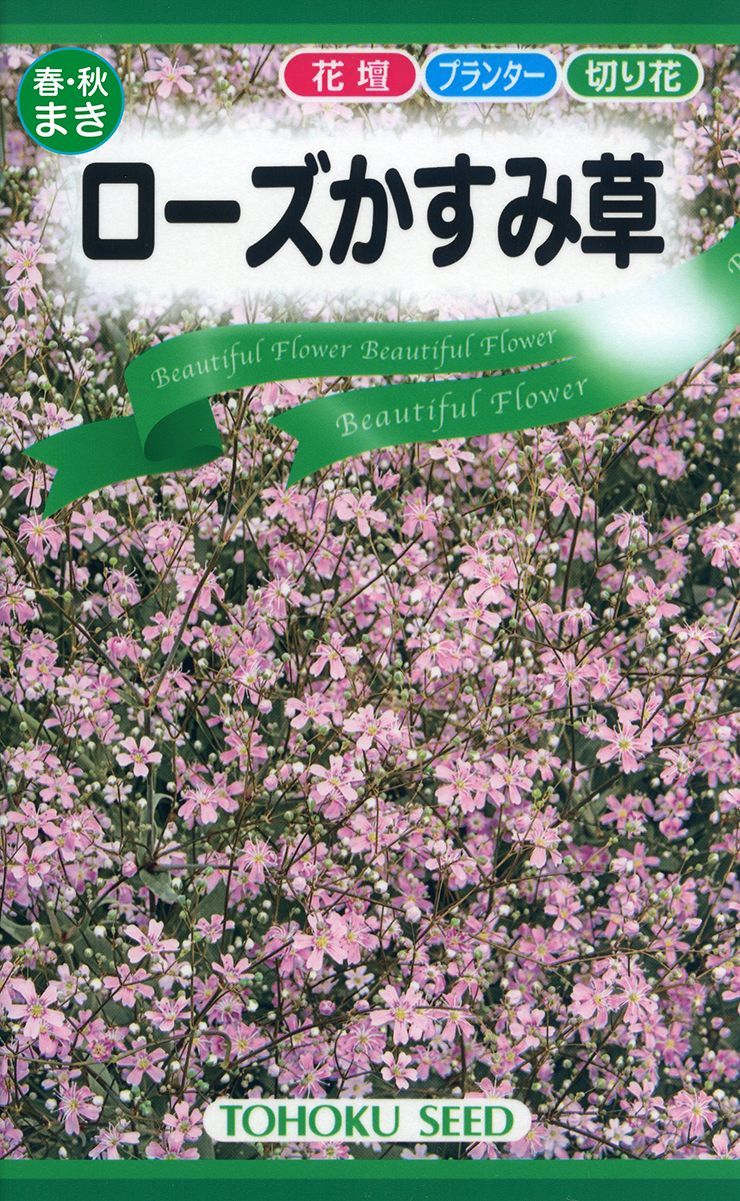 ２袋セット】春・秋蒔き 花の種 宿根八重かすみ草・ローズかすみ草