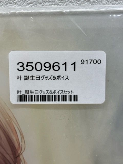 にじさんじ 叶 誕生日 2020 アクリルパネル 複製直筆サイン メッセージ入り F5567-007 081
