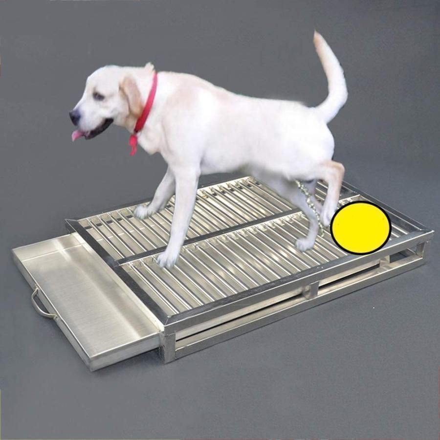 ペットトレーニング大容量防滴ノンスリップ