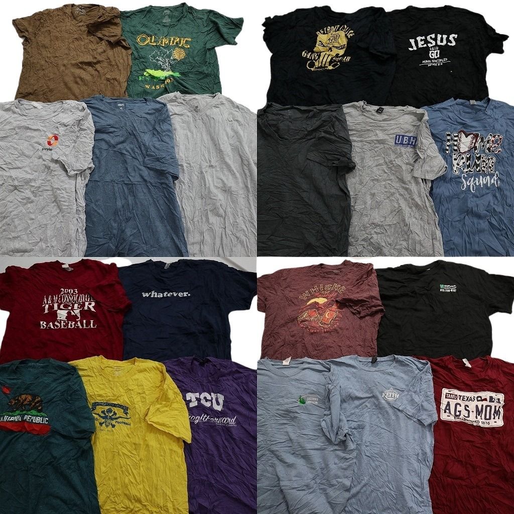 古着卸 まとめ売り カラーMix プリント 半袖Tシャツ 20枚セット (メンズ 2XL ) スカル アニマル 動物 英文字プリント 中古 古着 MY4046