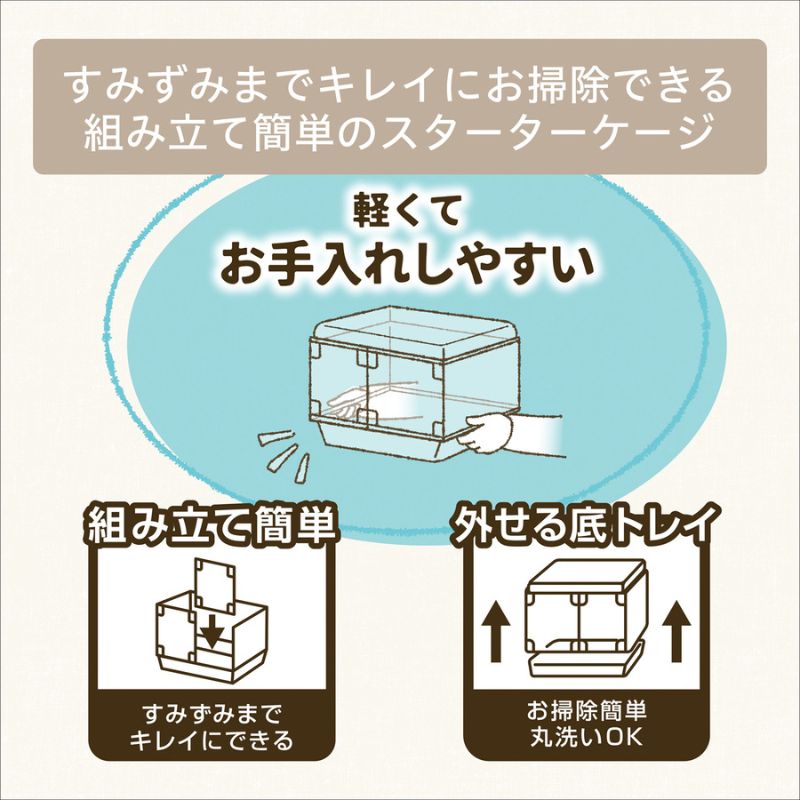 多頭飼い ハムスター
