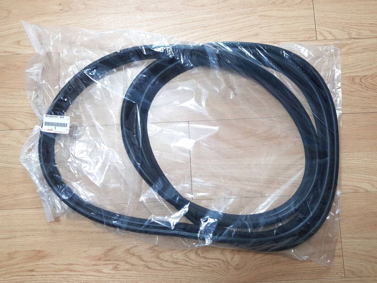 油絵「水面の樹」田中将寛作 （額装済み） コレクション