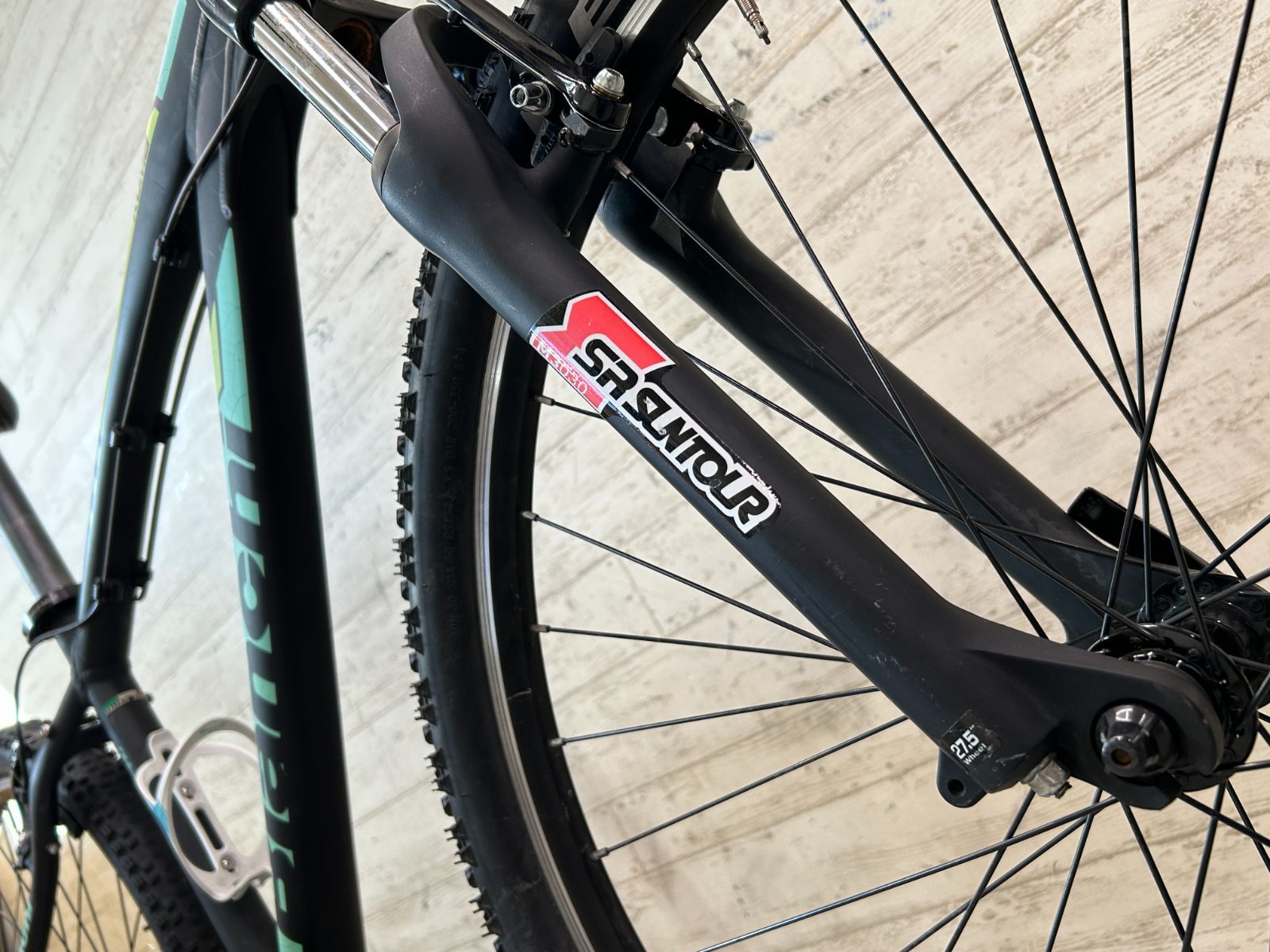 BIANCHI KUMA