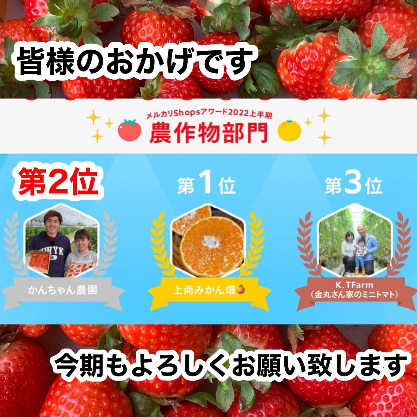 複数割引価格】新鮮朝採り?大粒＆中粒‼️かんちゃん農園 甘いいちご 