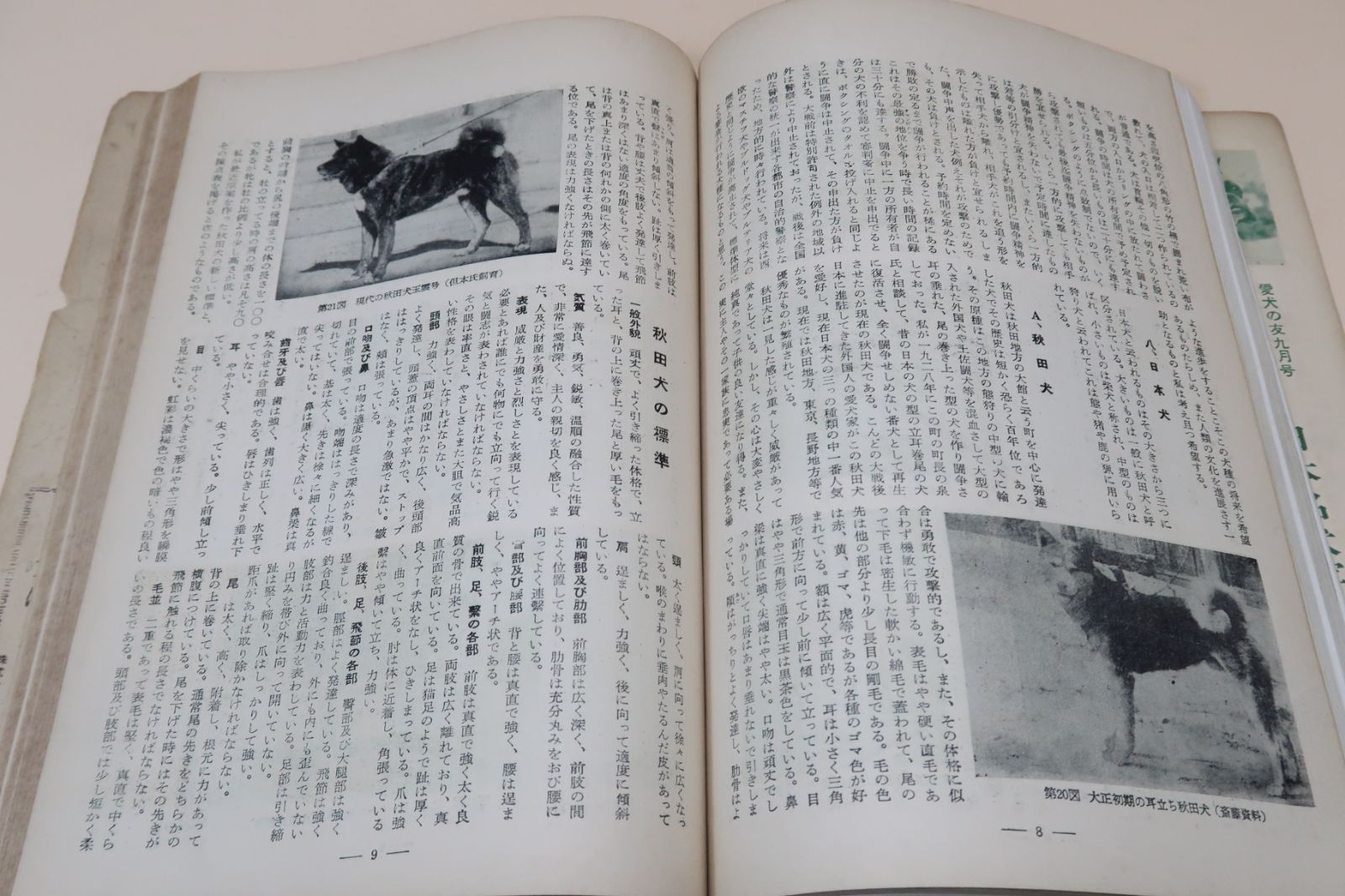 日本犬名犬写真集 Amazon.co.jp: 日本犬名犬写真集 : 愛犬の友編集部: Japanese Books