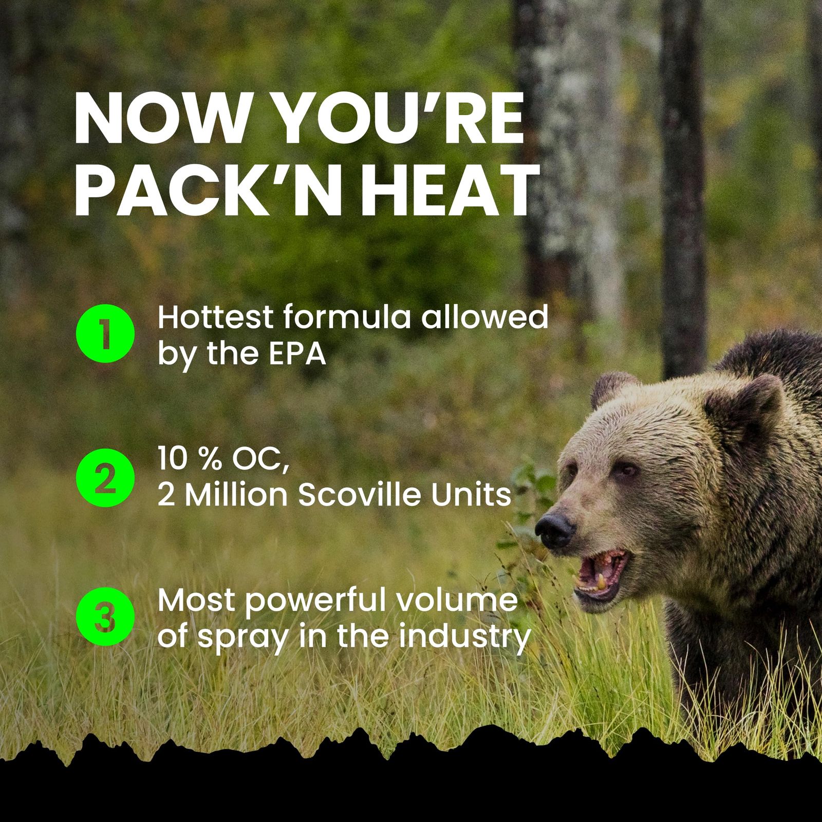 Guard ベアースプレー-グリズガードホルスター