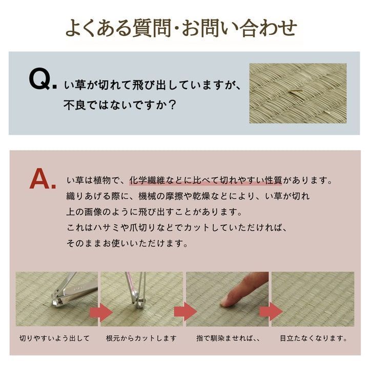 い草ラグ カーペット