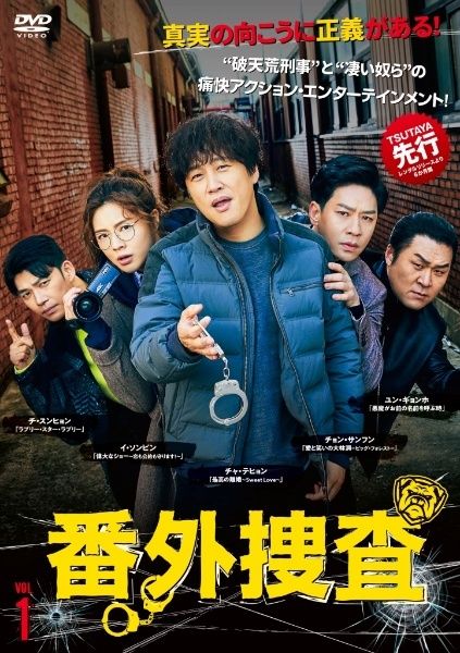番外捜査 12巻セット 字幕 レンタル落ち DVD