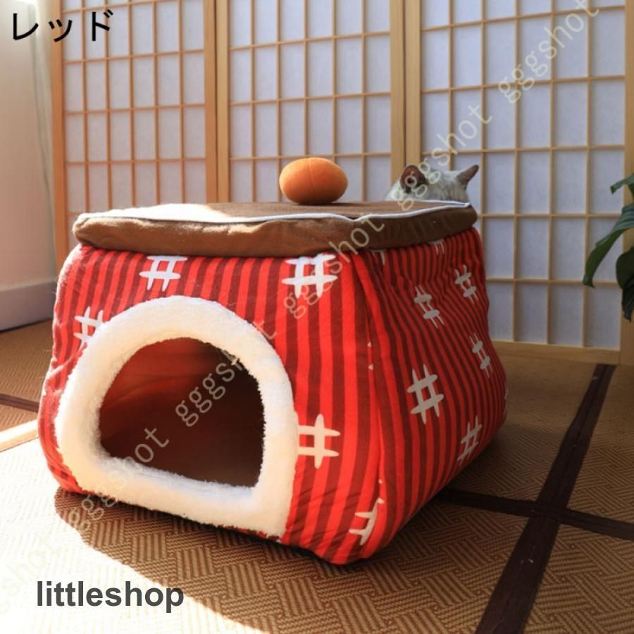 小型犬
