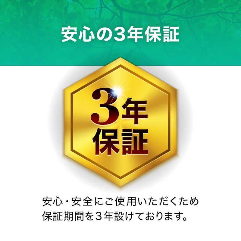 直管形蛍光灯