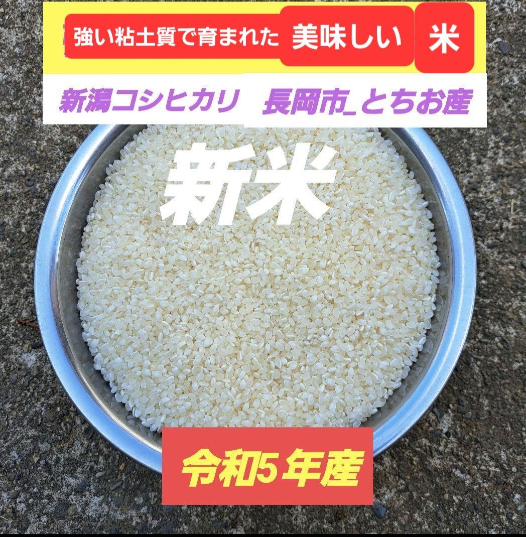 販売限定新米 新潟県産コシヒカリ 精米20kg 長岡市栃尾 米/穀物