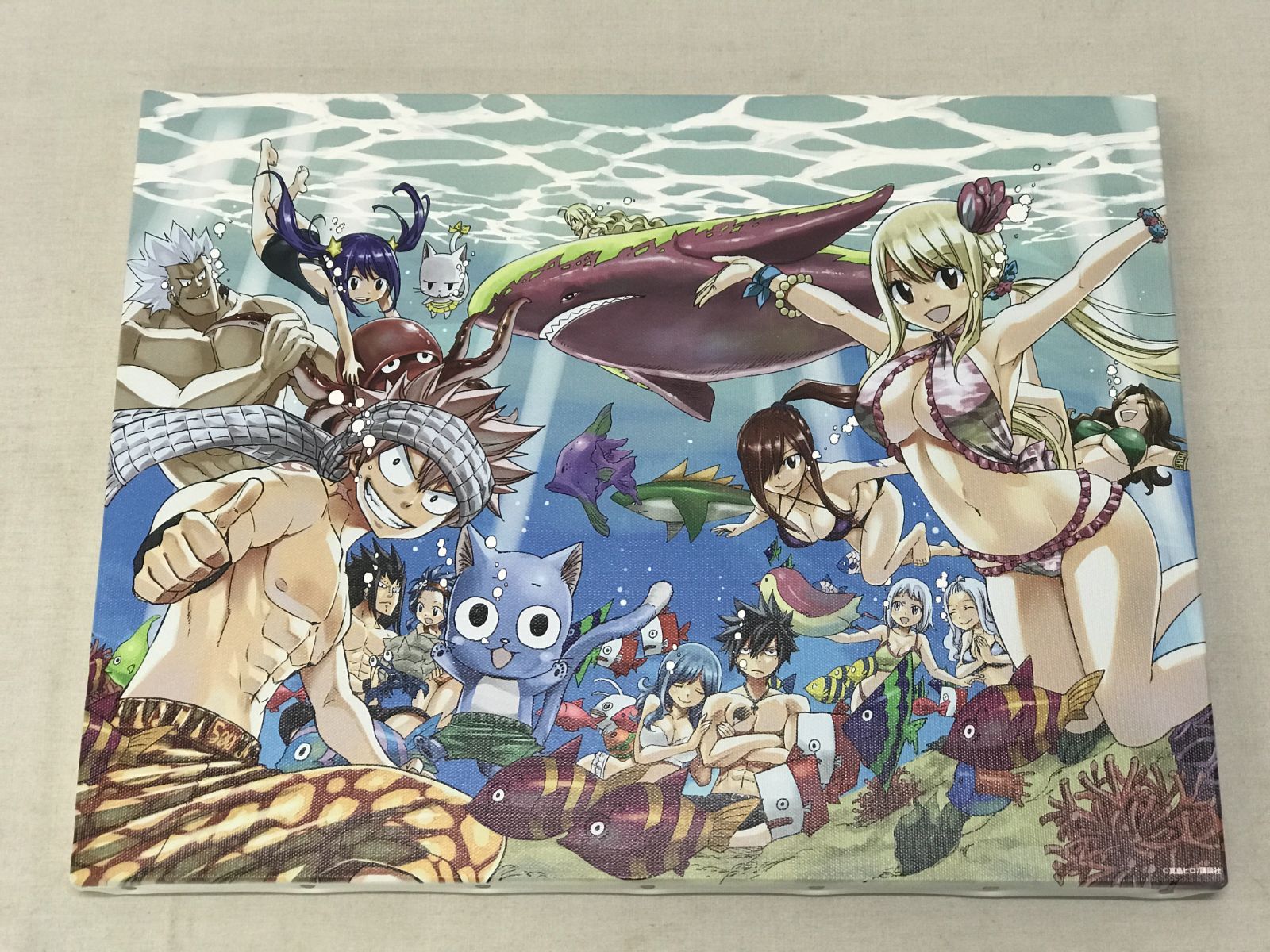 FAIRY TAIL キャンバスアートセット FAIRY TAIL2 ガストショップ限定コンボセット好評発売中
