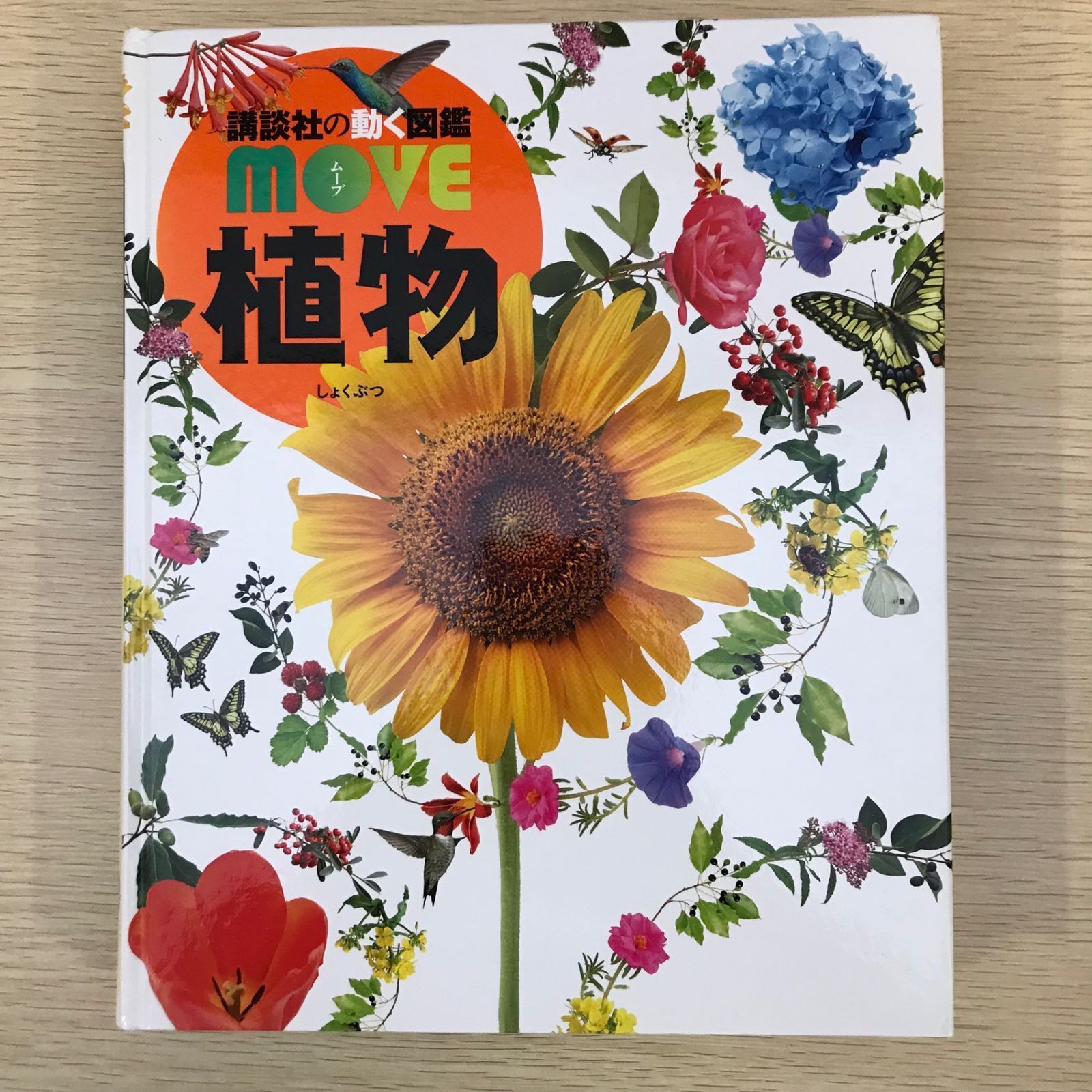 日本園芸協会植物雑貨クリエイター養成講座テキストDVDセット