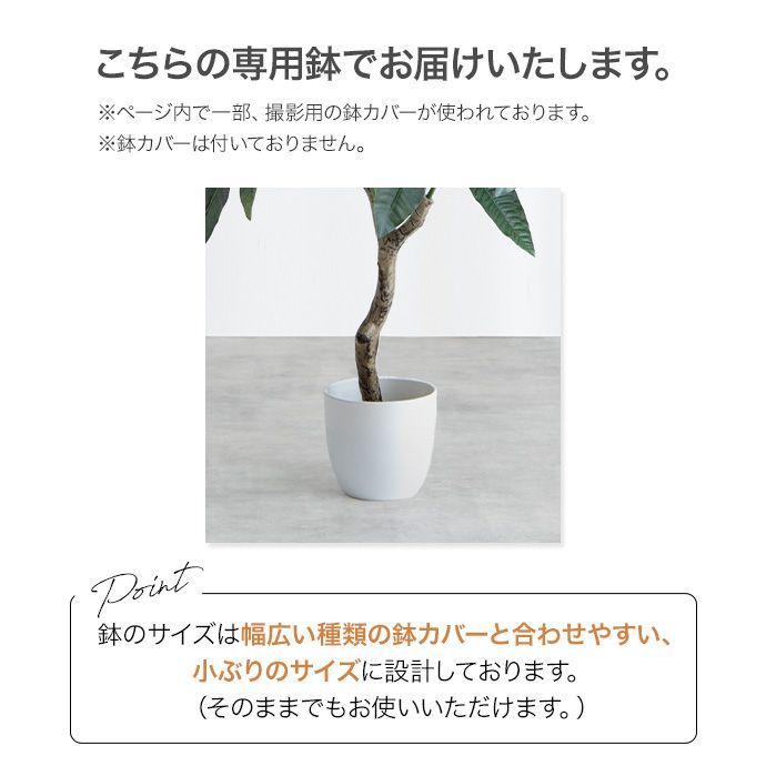 高さ85cm】Nature 光触媒人工観葉植物 オリーブ 【公式通販】