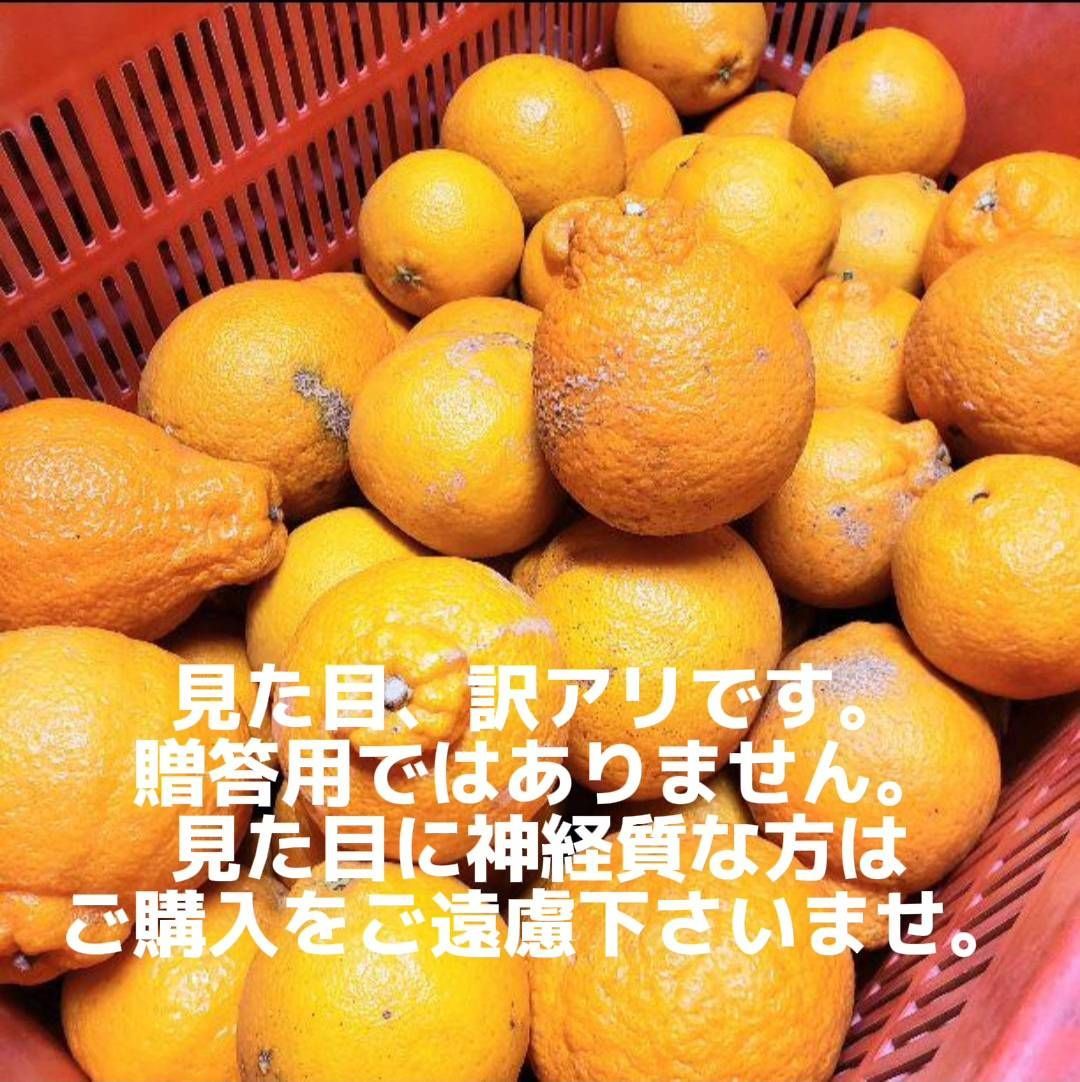 東北 沖縄