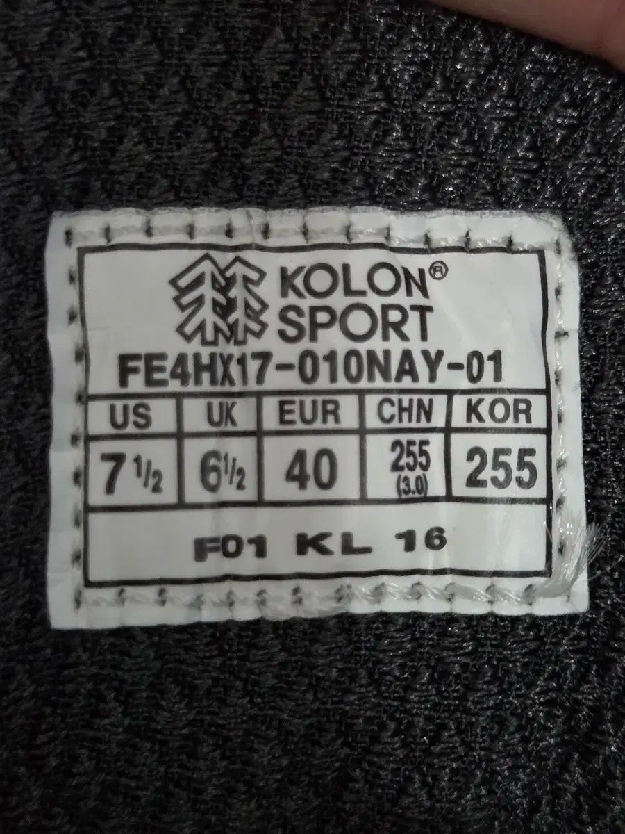 Sport