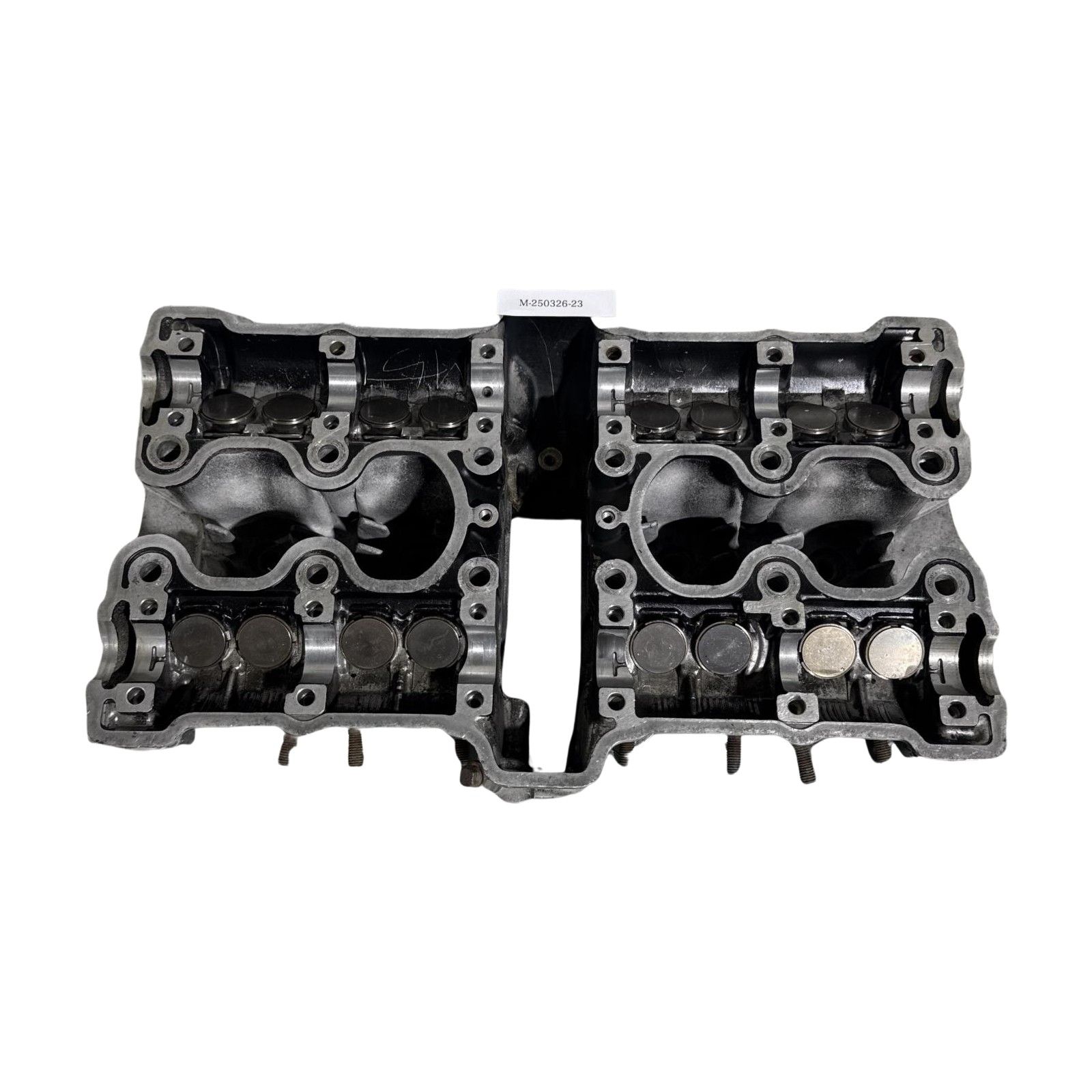 不詳/作者不詳/牡丹に百蝶図/布袋屋掛軸HF-824 不詳/作者不詳/牡丹に百