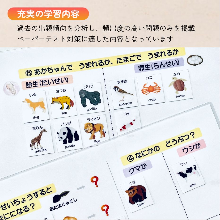 小学校受験マスター　教材セット　季節　野菜　果物　動物　生き物　昆虫　花　知育 小学校受験マスター 教材セット 季節 野菜 果物 動物 生き物