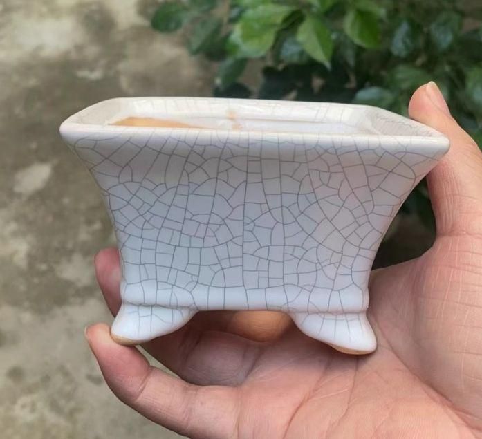 多肉植物鉢 盆栽鉢 植木鉢 小品盆栽鉢 大品盆栽鉢 - メルカリ
