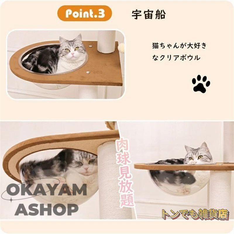 シニア