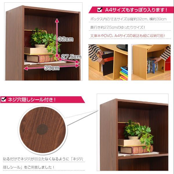 A4サイズ収納OK 扉付き