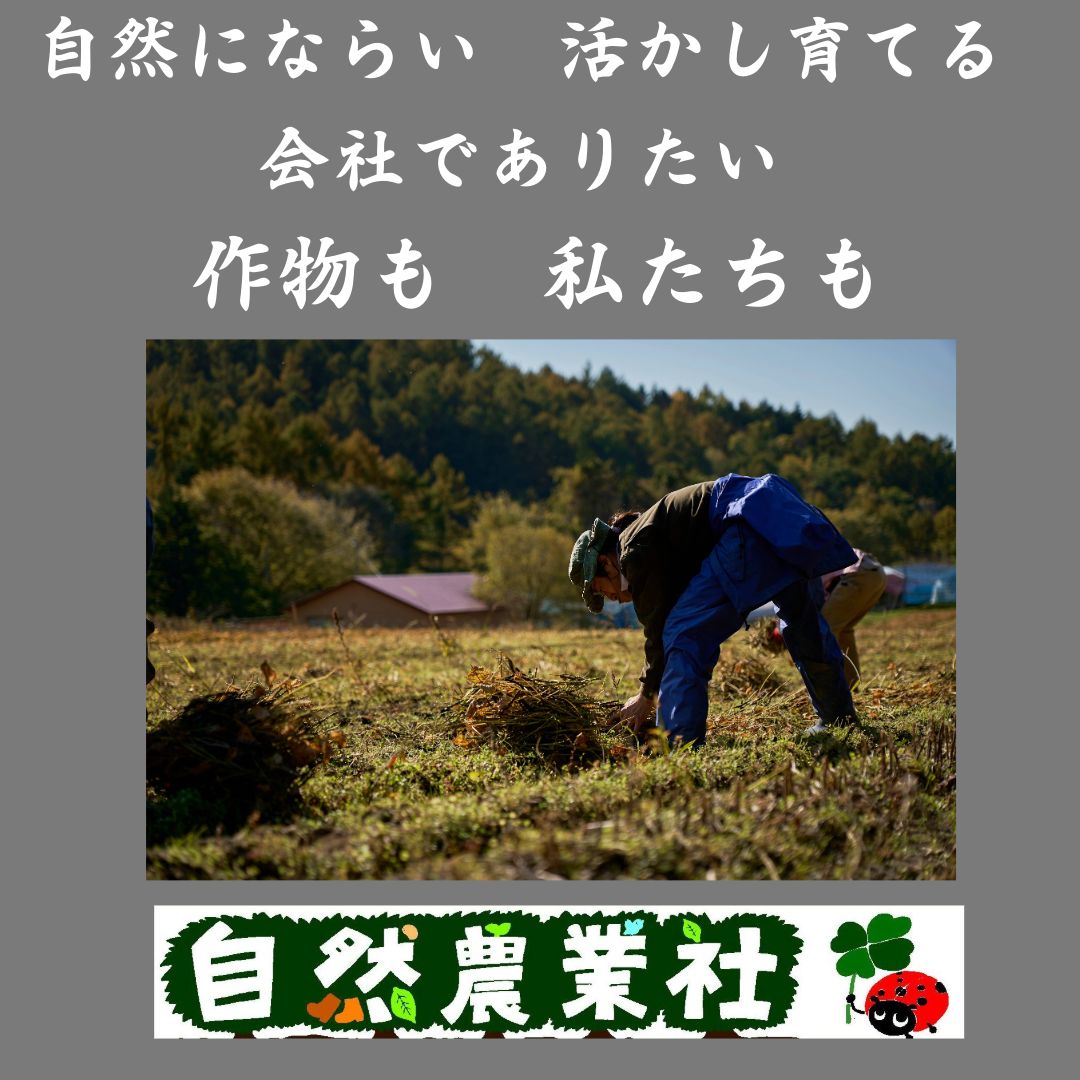 有機黒豆（1kg×5） 農薬・化学肥料・除草剤不使用 北海道産いわい