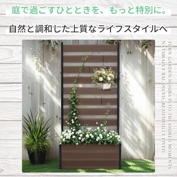 ラティス ロータイプ