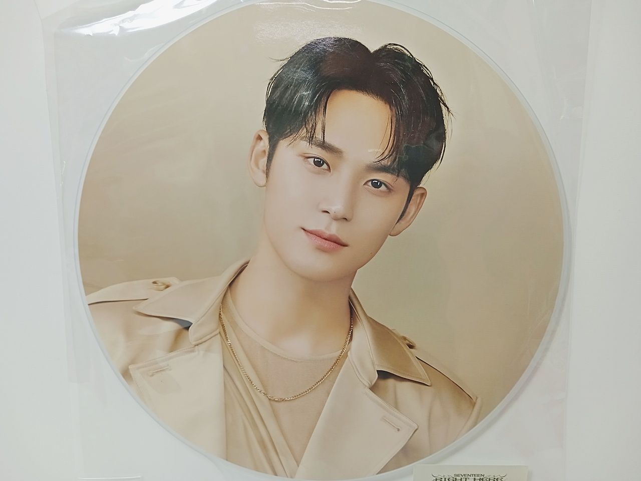 SEVENTEEN / RIGHT HERE / WORLD TOUR / うちわ MINGYU ミンギュ