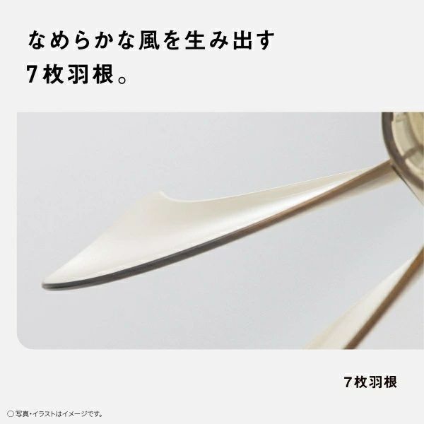 ホワイト