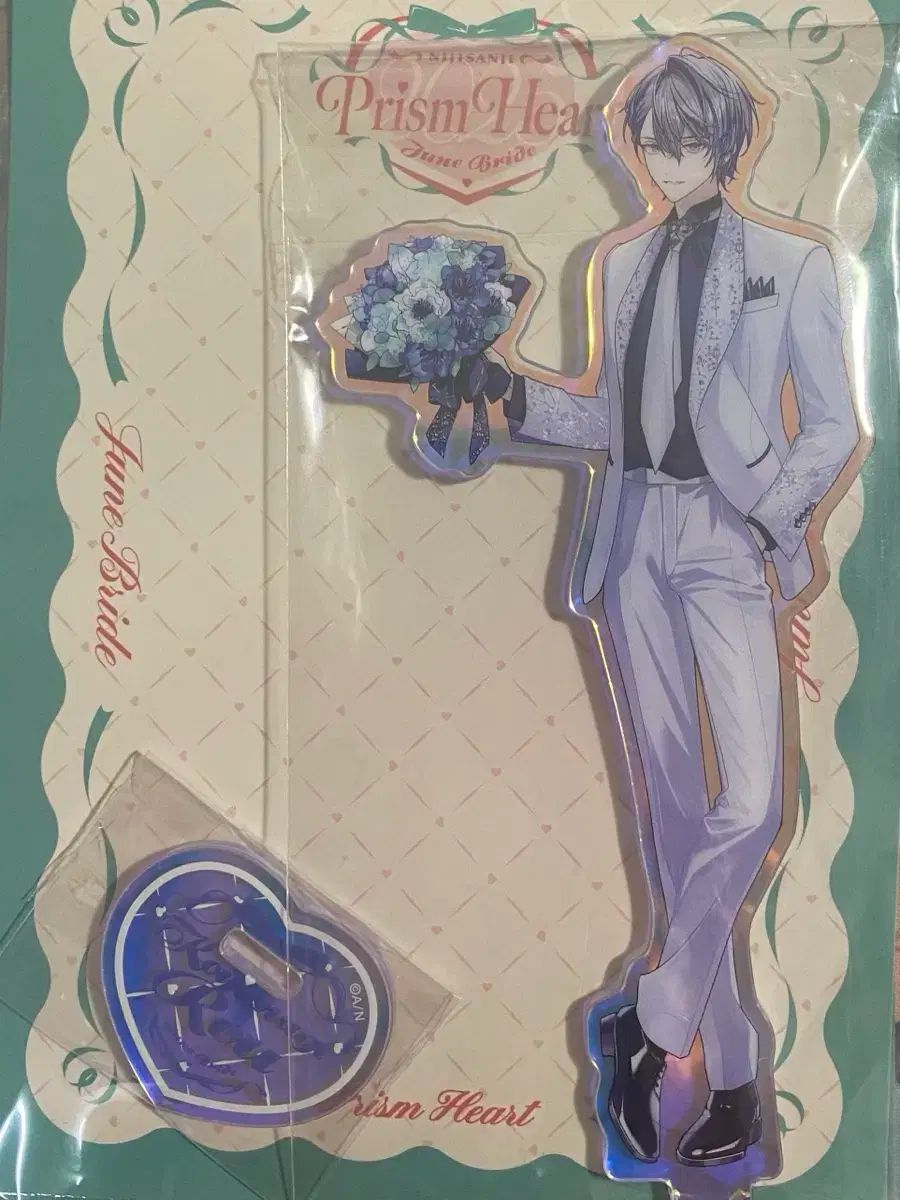 ビカクシダ苗、ドワーフ3種類セットB ビカクシダ3種セット ビカクシダ 3種セット(B) ビカクシダ苗、ドワーフ