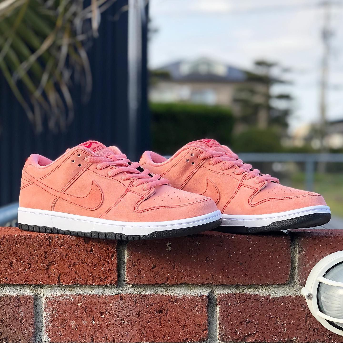 NIKE SB DUNK LOW PRO 