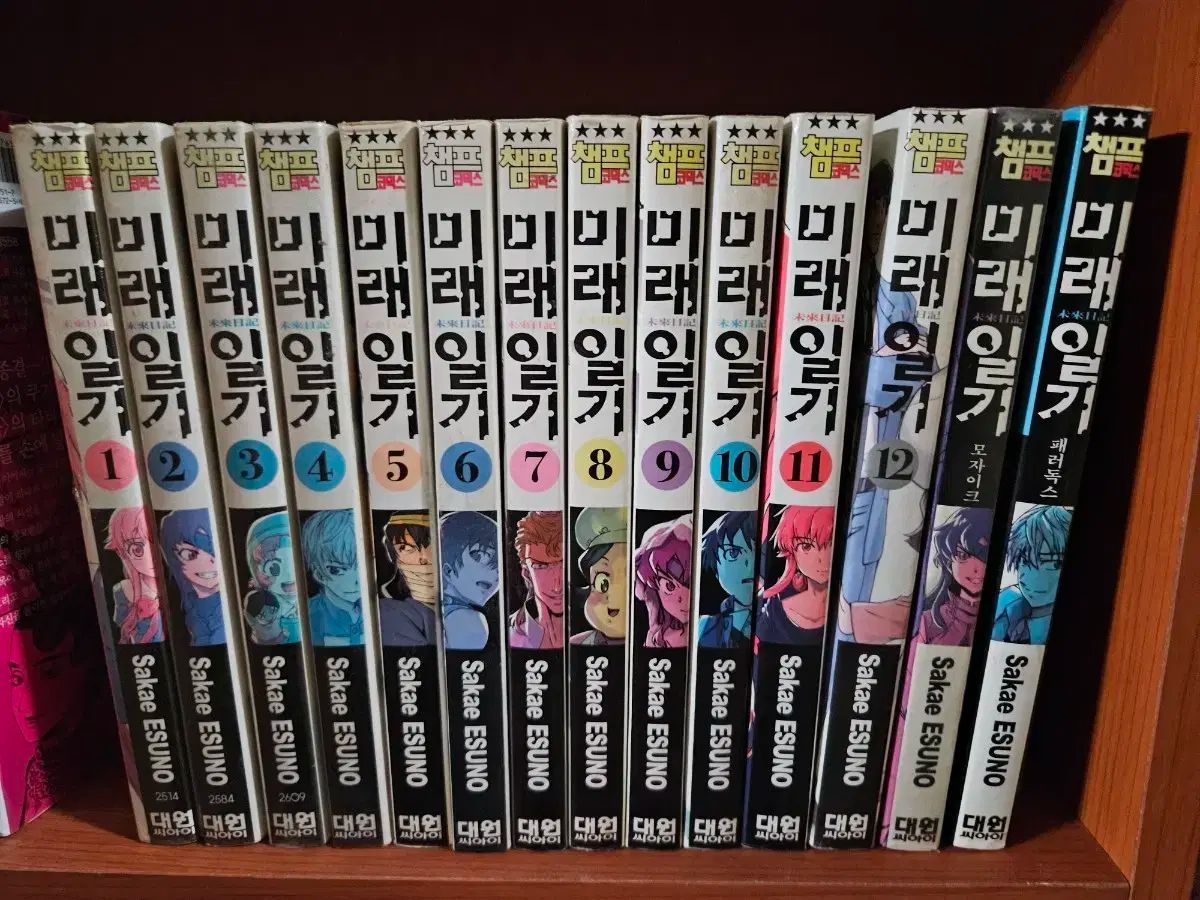 未来日記 1 ー 12 + モザイク+パラドックス