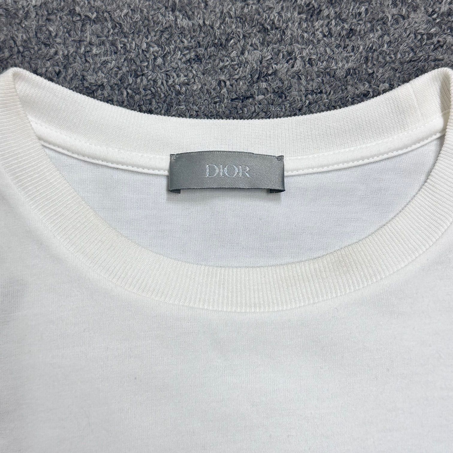 国内正規 Dior 19SS ロゴ オパール加工 シースルー オブリーク クルー 