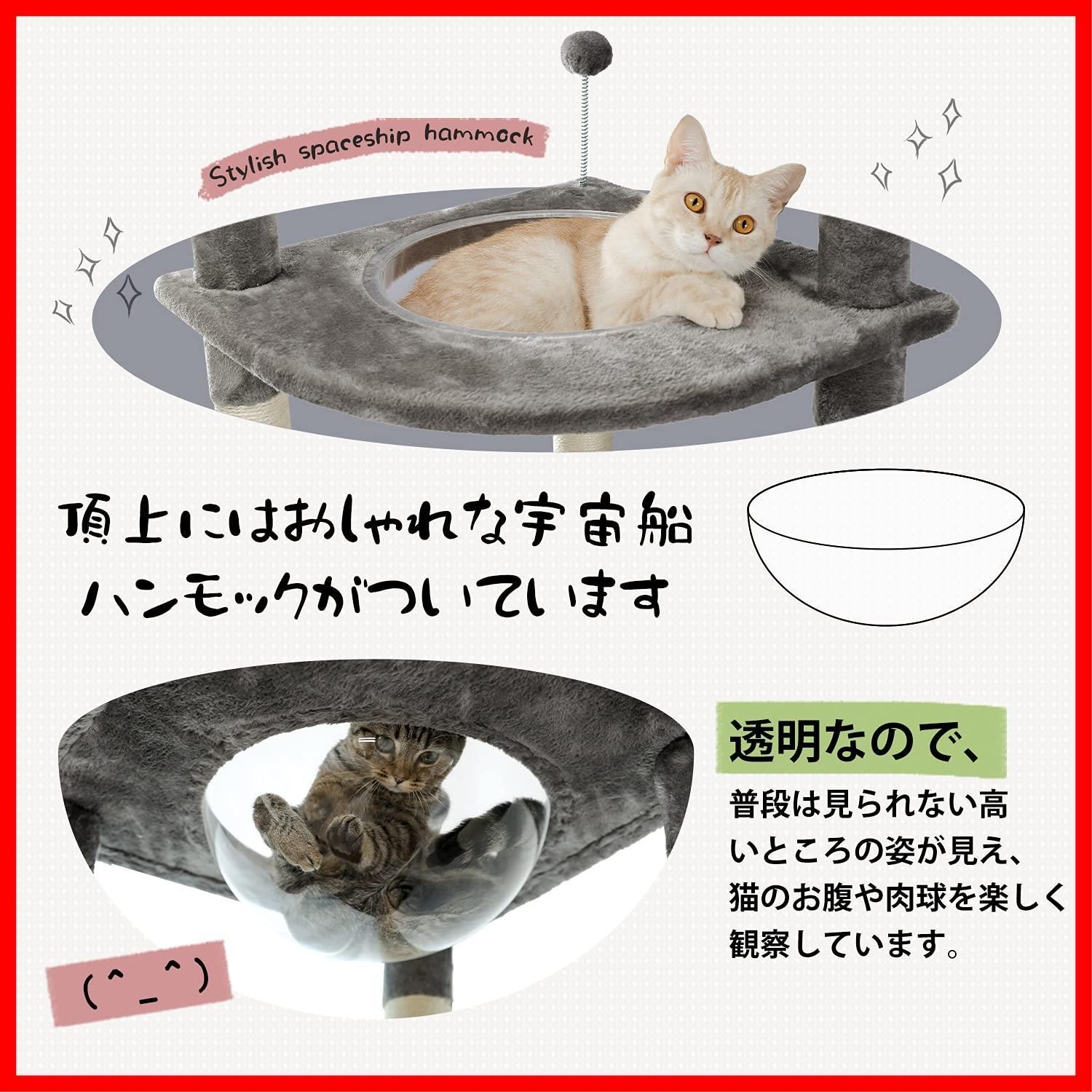 運動不足解消 多頭飼い