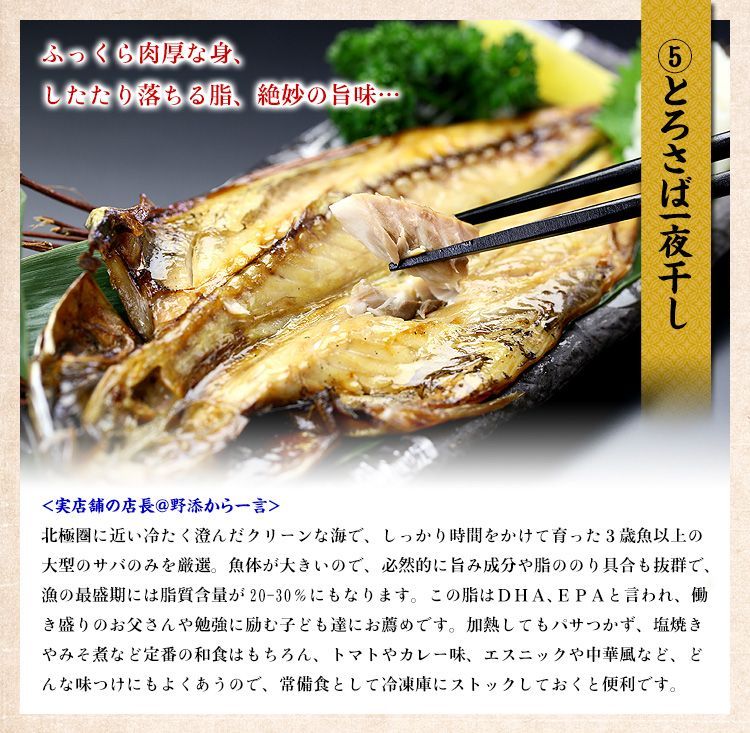 真いか イカ