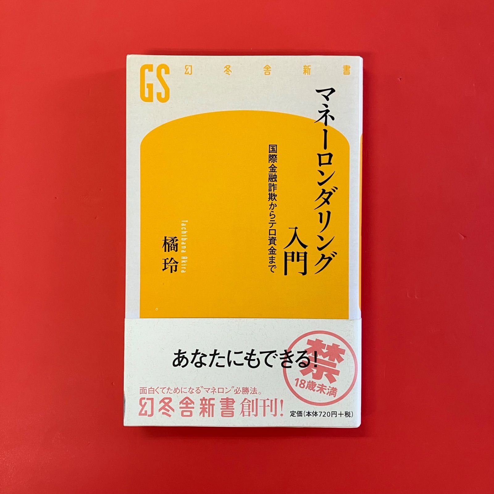 マネーロンダリング入門 国際金融詐欺からテロ資金まで ym_b14_4435 - メルカリ