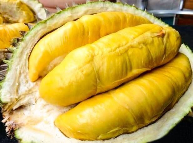 タイ産 泰国新鲜榴莲 金枕榴蓮 3.01ｋｇ～3.5ｋｇ|玉