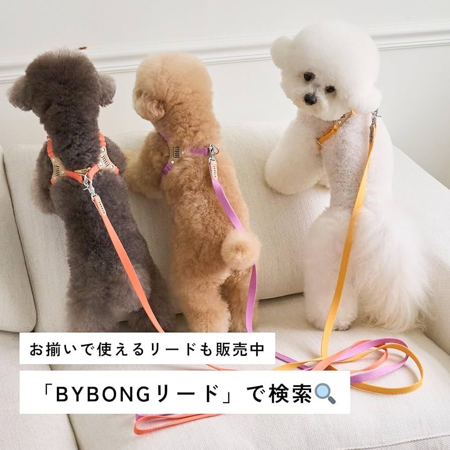 BEARBONG HARNESS 犬用品リードBYBONG XS ハーネス Amazon | 【BYBONG