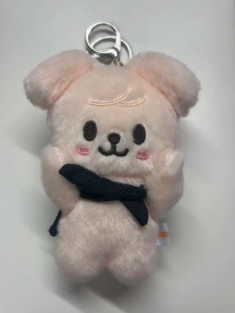 パピーム　スンミン　スキズ　テディ　新品未開封 Stray Kids スキズ SKZOOスンミン テディ パピーム ぬいぐるみ