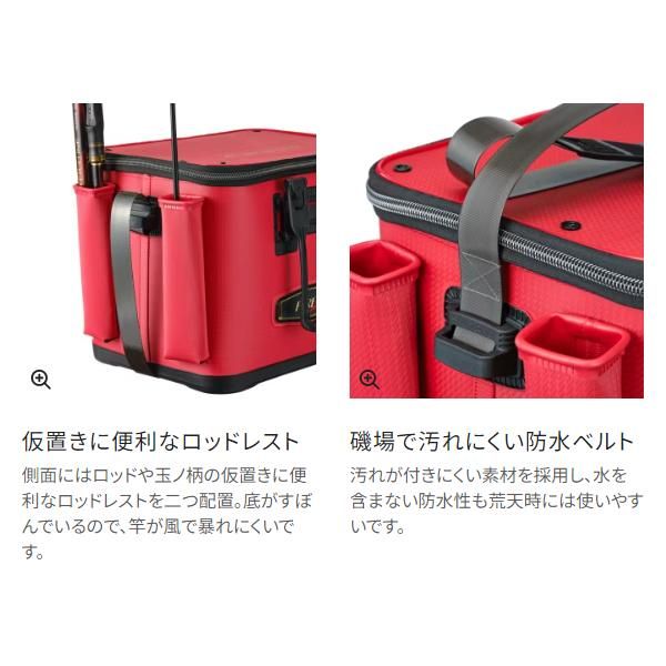 フィッシュバッカン